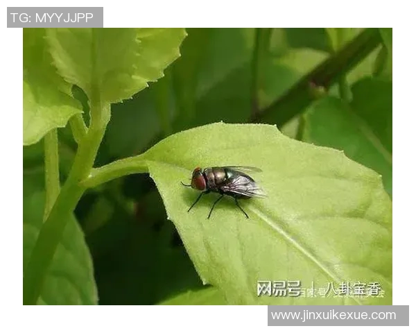 你不知道的篮球八卦：十大冷知识大揭秘